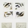 Christmas and New Year cards depicting feathers, birds, owls, and the moon.