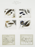 Christmas and New Year cards depicting feathers, birds, owls, and the moon.