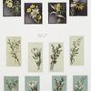 Easter cards depicting flowers.