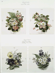 Christmas, birthday, and Valentine cards depicting flowers.