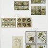 Valentines depicting angels, children, birds, and flowers.