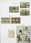 Valentines depicting angels, children, birds, and flowers.