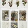 Christmas, New Year, birthday, and Valentine cards depicting flowers, feathers, and decorative fans.