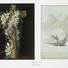 Easter cards depicting bird in flight; wooden cross decorated with flowers.