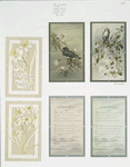 Christmas cards depicting birds and flowers, with poetry.