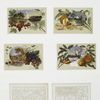 Christmas cards depicting fruit, leaves, and landscapes, with trees, snow, and boats.