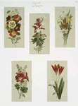Art study with depictions of flowers.