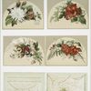 Christmas and New Year cards depicting flowers, draperies, and glass vases.