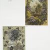 Christmas and New Year cards depicting autumn and winter landscapes with trees, flowers, and birds as ornament.