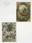 Christmas and New Year cards depicting autumn and winter landscapes with trees, flowers, and birds as ornament.