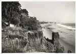 California shore
