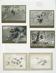 Christmas and New Year cards depicting winter scenes of the forest, squirrels and various birds including owls and blue jays.