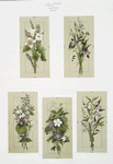 Cards with botanical illustrations.