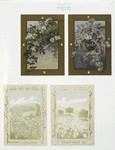 Valentine cards depicting birds, nests, trees and flowers.
