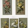 Christmas and New Year cards depicting flowers, including yellow roses and oleanders.