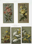 Christmas and New Year cards depicting flowers, including yellow roses and oleanders.