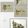 Christmas and Valentine cards  with text, depicting flowers.