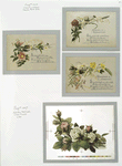 Christmas and Valentine cards  with text, depicting flowers.