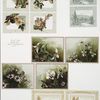 Birthday, Easter and Valentine cards depicting flowers and landscapes.