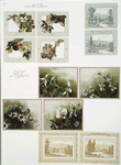 Birthday, Easter and Valentine cards depicting flowers and landscapes.