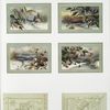 Christmas and New Year cards depicting winter scenes, tree branches, angels and decorative design.