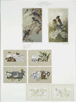 Easter cards depicting birds, flowers, eggs and the moon.
