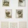 Christmas and New Year cards depicting the seasons, barn animals, people and holly.