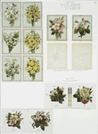 Birthday, Christmas, New Year and Valentine cards depicting flowers and hearts.