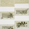 Christmas and Easter cards depicting flowers, butterflies, bees, birds, trees and the sun.