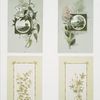 Easter cards depicting flowers, plants, vases and landscape paintings.