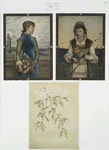 Christmas and Valentine cards depicting portraits of women and holly.