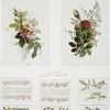 Birthday, Christmas, New Year and Valentine cards depicting flowers and plant forms.