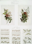 Birthday, Christmas, New Year and Valentine cards depicting flowers and plant forms.