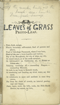 Leaves of grass. Proto-Leaf