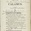 Calamus