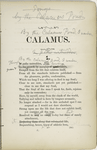Calamus