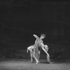 Choreographic duet from the "Midsummer night's dream.'