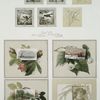 Valentines and birthday cards depicting birds, flowers, landscapes.