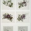 Easter cards depicting flowers, birds, and trees.