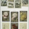Christmas cards depicting rural scenes with farmers, sheep, rowboat; small child in snow; flowers.