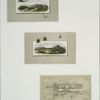 Christmas cards depicting landscapes with birds, bees, and snow.