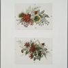 Christmas, birthday, and Valentine cards depicting flowers.