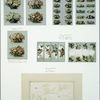 Designs with flowers.