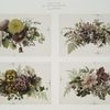 Easter and Christmas cards depicting flowers.