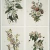Flower designs.