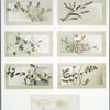 Christmas, New Year, and birthday cards depicting flowers, plants, and designs.