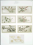 Christmas, New Year, and birthday cards depicting flowers, plants, and designs.