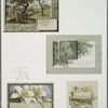 Christmas cards depicting children with old man, trees, flowers, and birds.