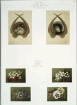 Christmas and New Year cards depicting children, angel wings, berries, and flowers.