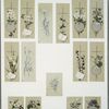Cards depicting flowers, crosses, paper, birds, butterflies, and fans.